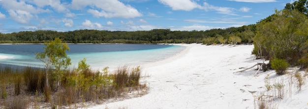 Panoramic View of a White Beach on Lake Mckenzei in Fraser IslandQueenslandAustraliaNature Concept