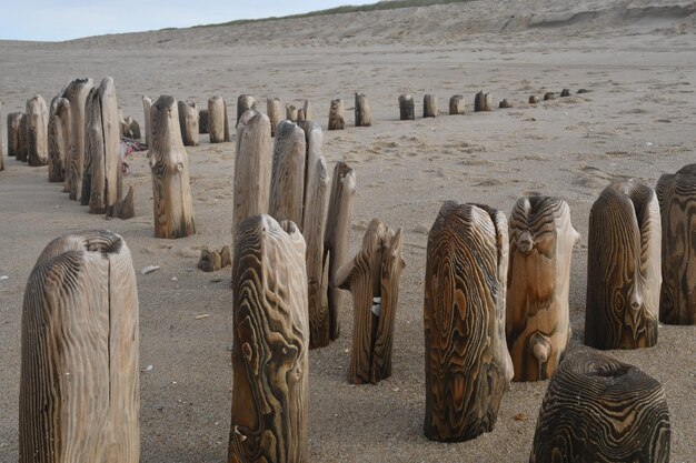 Panoramic view of wooden posts on sand at beach