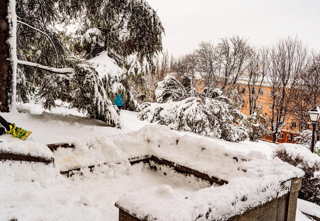 Photo panoramic views of madrid almudena cathedral and vistillas park covered with snow