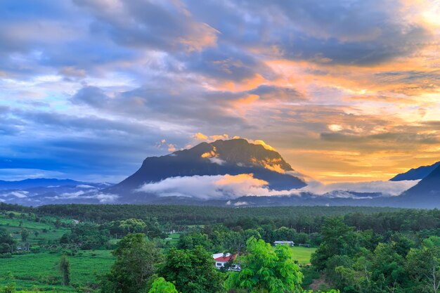 Panoramic views of the mountain and the mist in sunset time at chiang mai thailand