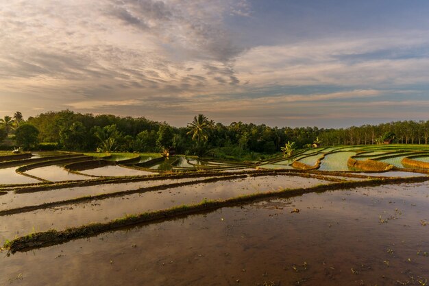 Panoramic views of mountain reflections and beautiful rice terraces