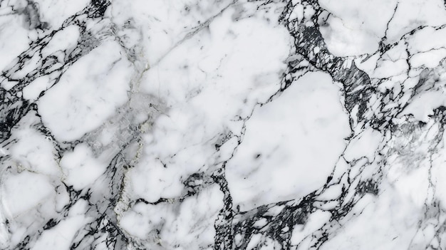 panoramic white background with a marble stone texture offering an elegant and sophisticated surfac