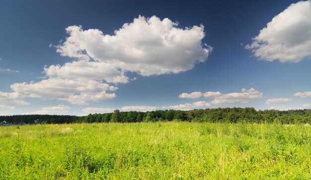 Panoramisch beeld van de lucht