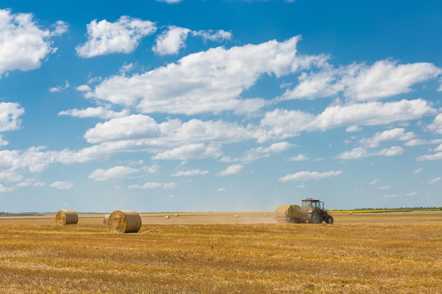 Panoramisch beeld van gemaaid tarweveld voor een spandoek Veld na oogst Grote ronde balen stro