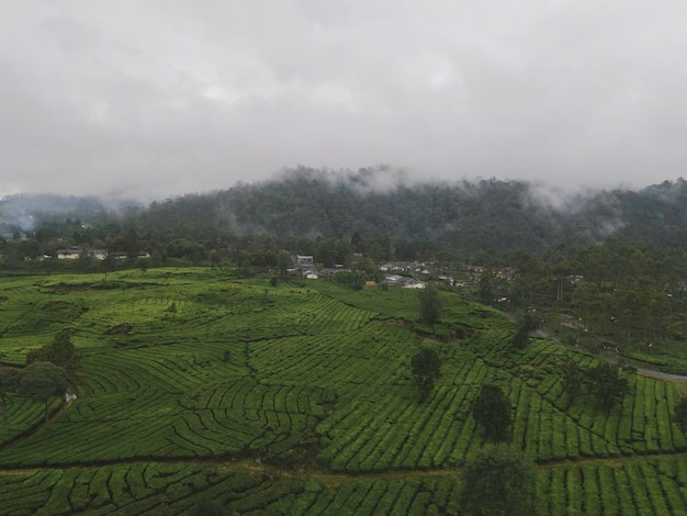 Panoramisch luchtfoto van Blue Lake Patenggang met een eilandje in het midden van het meer Ciwidey Bandung West Java Indonesië Azië