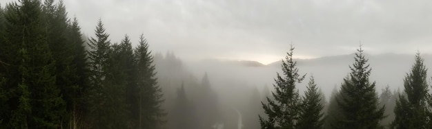 Panoramisch luchtfoto van het Canadese berglandschap bedekt met mist