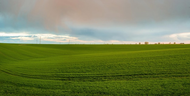 Panoramisch natuurlijk landschap met gebogen lijn van groen grasveld en lucht met wolken