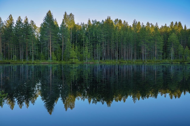 Panoramisch prachtig landschap van het meer omgeven door bos in de avond karelië regio rusland