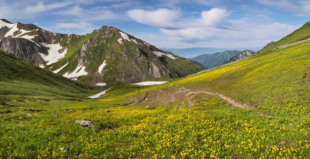 Panoramisch uitzicht op de bergvallei op lentedag