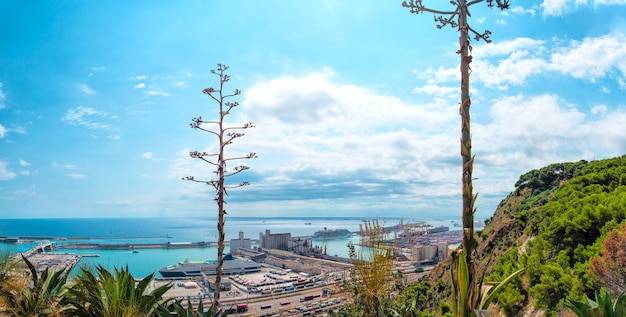 Panoramisch uitzicht op de haven van Barcelona. Spanje Catalonië