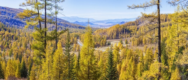 Panoramisch uitzicht op de herfstnatuur pittoreske valleibomen