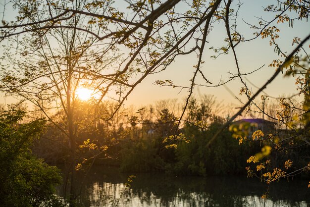 Panoramisch uitzicht op een vijver bij zonsondergang in het voorjaar