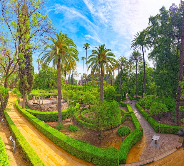 Panoramisch uitzicht op grote en prachtige tuin - Gardens of Royal Al