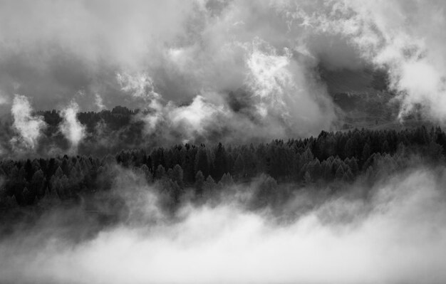 Foto panoramisch uitzicht op het bos tegen de lucht in de dolomieten