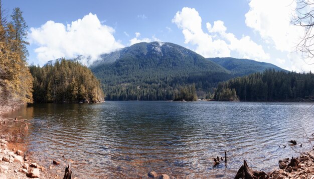 Panoramisch uitzicht op het Canadese natuurlandschap