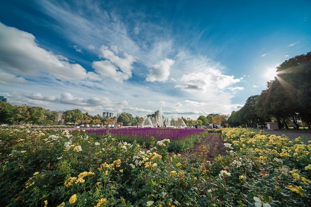 Panoramisch uitzicht op het Gorky-park met de centrale fontein