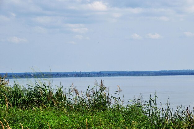 Panoramisch uitzicht op het meer. Bewolkte zomerdag. Voor een onweersbui op het meer. Onweerswolken.