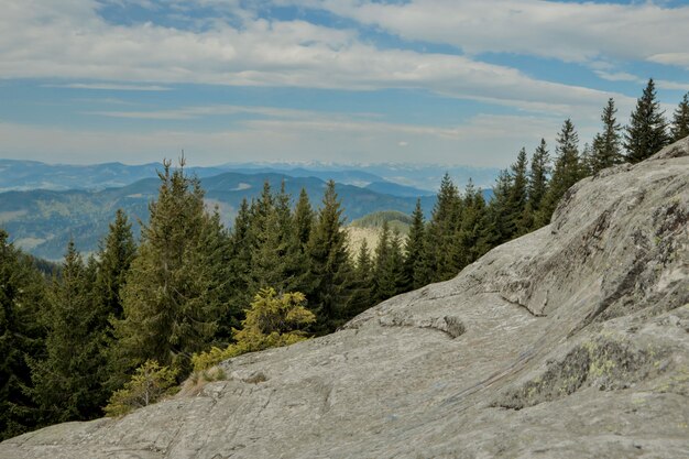 Panoramisch uitzicht op het schilderachtige landschap van de Karpaten met boshellingen, bergketens en toppen