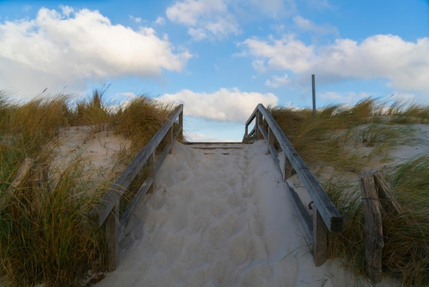 Foto panoramisch uitzicht op het strand tegen de lucht