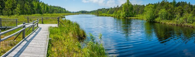 Foto panoramisch uitzicht op het wandelpad met observatiedek en meer in de zomer