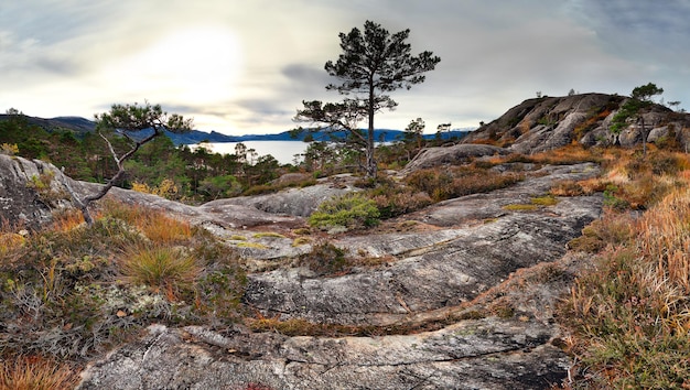 Panoramisch uitzicht op Noorse rotsen.
