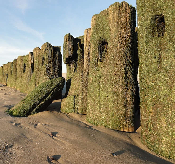 Foto panoramisch uitzicht op oude ruïnes tegen de lucht