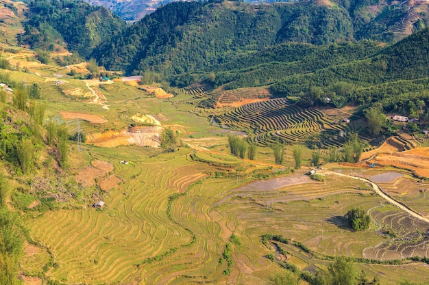 Panoramisch uitzicht op terrasvormige rijstvelden in Sapa, Lao Cai, Vietnam