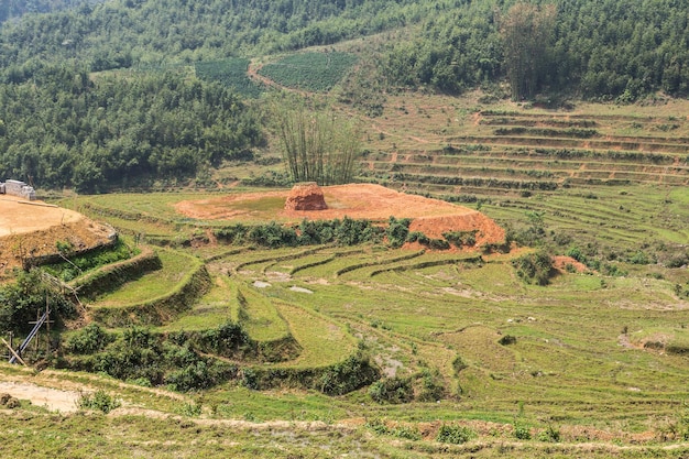 Panoramisch uitzicht op terrasvormige rijstvelden in Sapa, Lao Cai, Vietnam