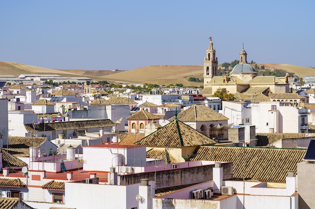 Panoramisch uitzicht over de stad Ecija met zijn witte huizen, Arabische daken en kerktorens Sevilla