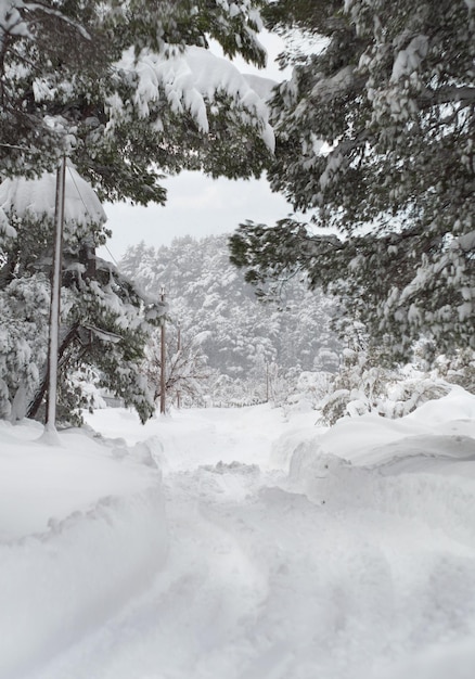 Panoramisch uitzicht winter met veel sneeuw en sneeuwafwijkingen in een Grieks dorp op het eiland Evia Griekenland