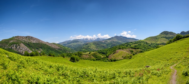 Panoramisch van berglandschap in de zomer. pyreneeën