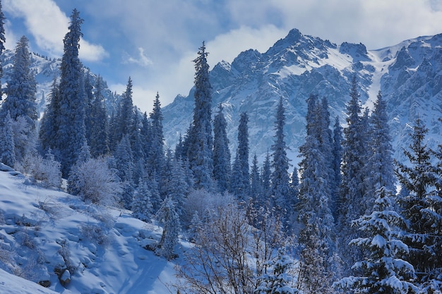 panoramisch winterlandschap met besneeuwde bergen