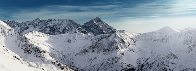 Panoramisch winterlandschap met Tatra-gebergte, Zakopane, Polen