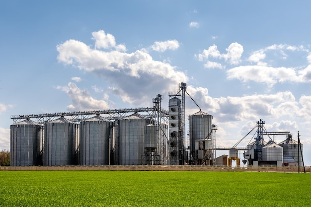 Panoramisch zicht op agro silo's graanschuur lift op agroprocessing fabriek voor verwerking drogen reiniging en opslag van landbouwproducten meel granen en graan