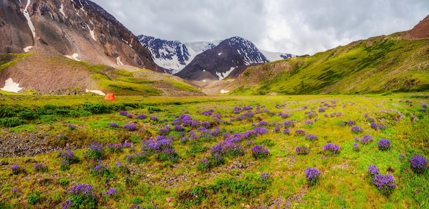 Panoramisch zicht op de camping op het bloemengroene hooggelegen plateau. een oranje tent op een regenachtige dag. rust en ontspanning in alle weersomstandigheden in de natuur.