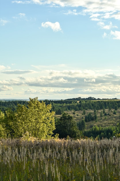 Panoramisch zicht op het prachtige veld