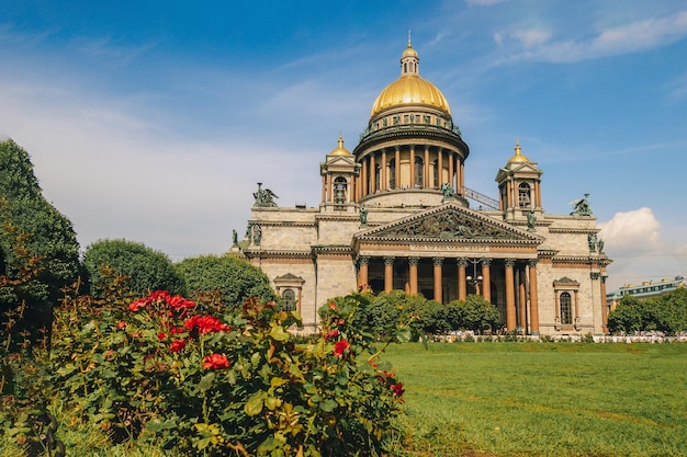 Panoramisch zicht op Saint Isaac Cathedral Isaakievskiy Sobor met groen gazon en rode rozen in de zomer