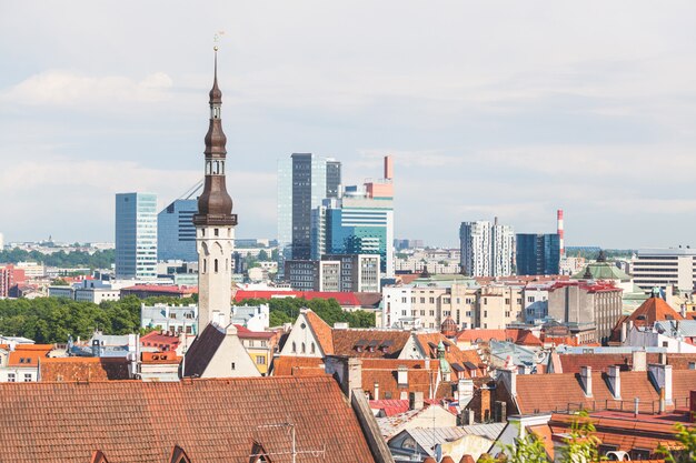 Panoramisch zicht op Tallinn