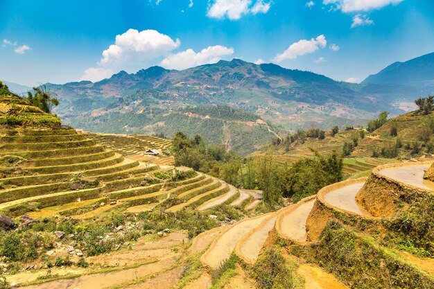 Panoramisch zicht op terrasvormige rijstveld in Sapa in Lao Cai in Vietnam