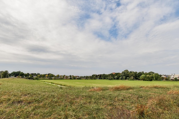 Panoramisch zicht op vegetatie