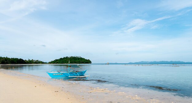 Panoramische achtergrond van een kleurrijk tropisch strand met blauwe luchtpalmen en een blauwe bootkopieerruimte