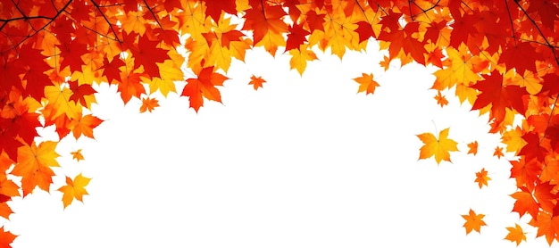 Foto panoramische banner met herfst oranje bladeren generatieve ai