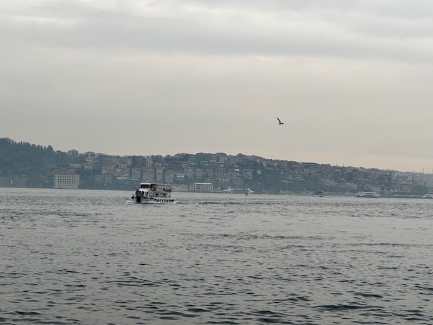 panoramische foto van de Bosporus met in de verte een varend schip