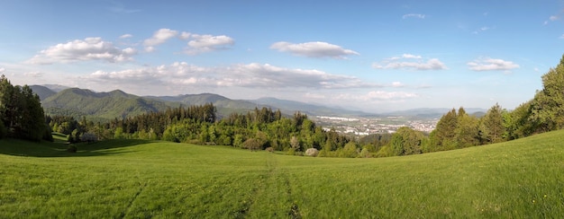 Foto panoramische opname van bomen op het veld tegen de lucht