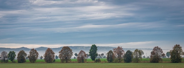 Foto panoramische opname van bomen op het veld tegen de lucht