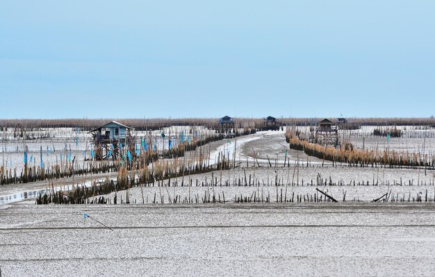 Panoramische opname van een landbouwveld tegen een heldere lucht