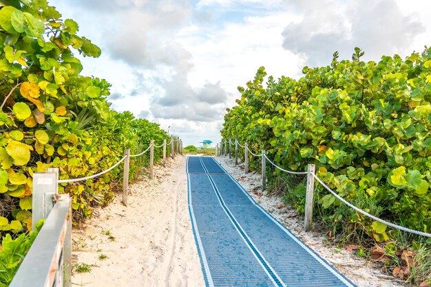 Panoramische opname van het spoor tussen de bomen tegen de lucht