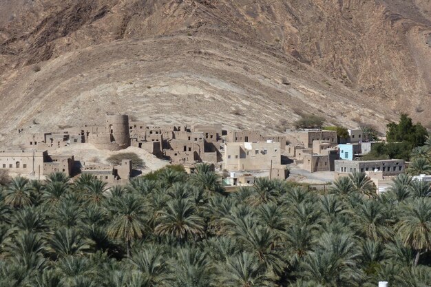 Foto panoramische opname van palmbomen en een verlaten dorp op het berglandschap bij birkat al mawz in oman