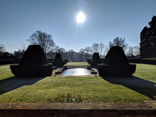 Foto panoramische opname van planten tegen de lucht