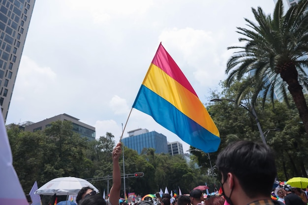 Pansexual flag at the annual gay parade in mexico city